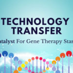 Technology Transfer, A Catalyst For Gene Therapy Startups | The Spark Therapeutics Example